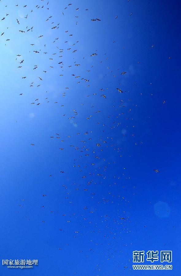 (國際·關(guān)注文化遺產(chǎn))(11)聖基爾達島:被遺棄的文明