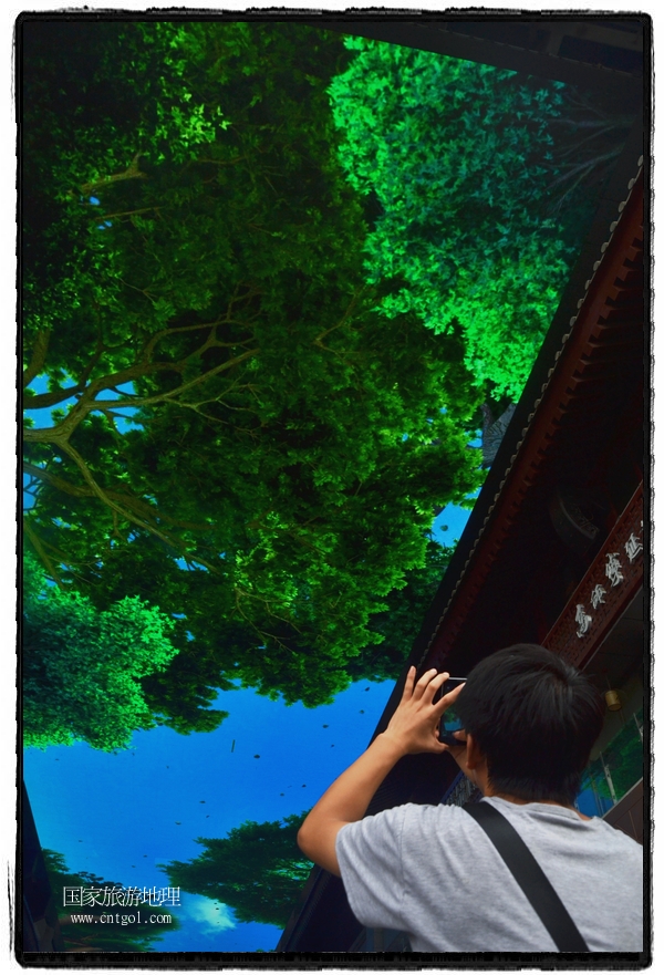 9月8日，在西安市大雁塔景區(qū)，“天幕”景觀吸引游客駐足觀看，并拿出手機(jī)拍攝。